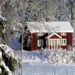 Schäden durch Schnee